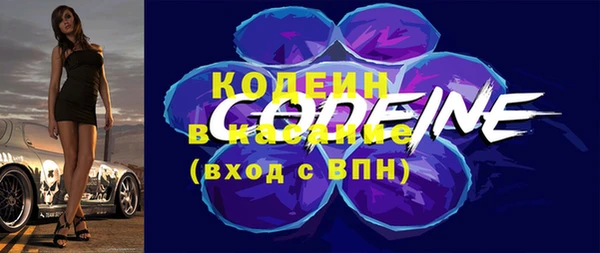 твердый Пересвет