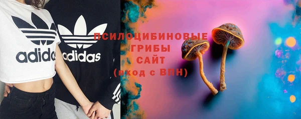 твердый Пересвет